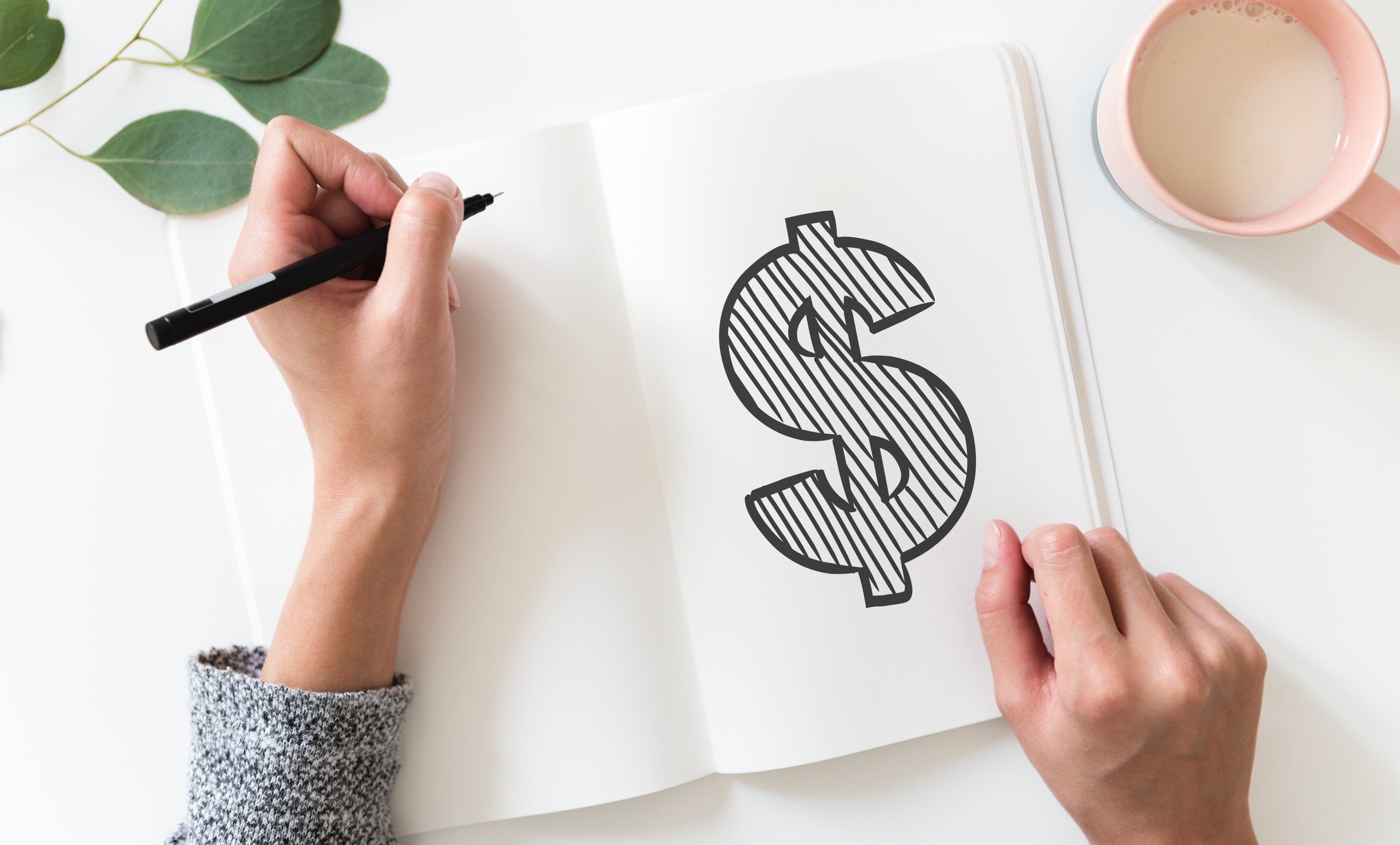 dollar sign drawn in notebook