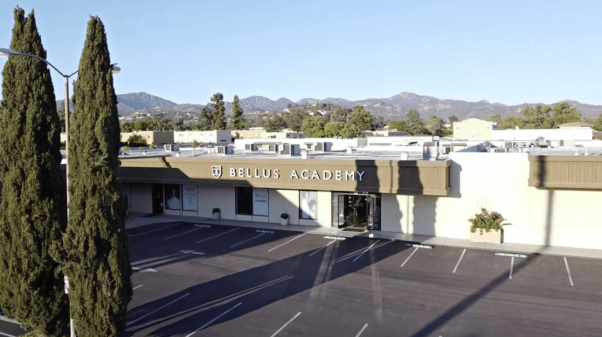 bellus advantage